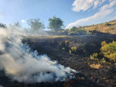 Siirt&rsquo;te otluk alanda &ccedil;ıkan yangın fıstık ve &uuml;z&uuml;m bağlarına sı&ccedil;radı
