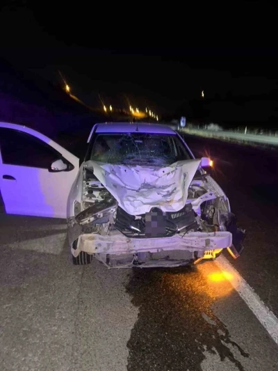 Siirt’te otomobilin çarptığı at telef oldu
