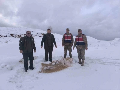 Siirt&rsquo;te yaban hayvanlarına 750 kilo besi yemi bırakıldı
