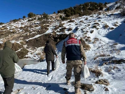 Siirt&rsquo;te yaban hayvanlarına 750 kilo yem bırakıldı
