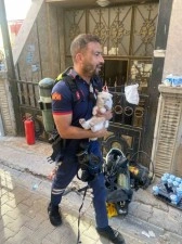 Siirt’te yangında mahsur kalan kediyi itfaiye ekipleri kurtardı