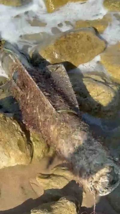 Şile sahilinde roket başlığı olduğu değerlendirilen cisim imha edildi
