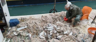 Silifke&rsquo;de balık &ccedil;iftliğinin ağı yırtıldı, kıyılar balıkla doldu
