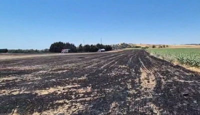 Silivri&rsquo;de elektrik direği kesimi sırasında yangın: Ekili araziler zarar g&ouml;rd&uuml;
