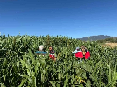Simav’da hasat kontrolleri
