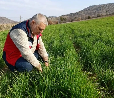 Simav&rsquo;da tarımsal &ccedil;alışmalar s&uuml;r&uuml;yor
