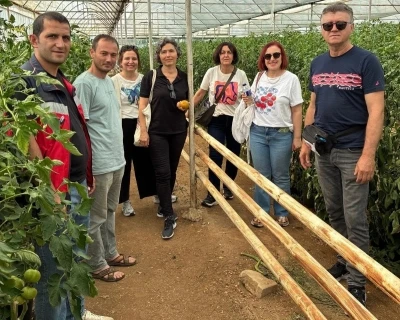Simav&rsquo;daki seracılara domates hastalıkları ve zararlıları eğitimi
