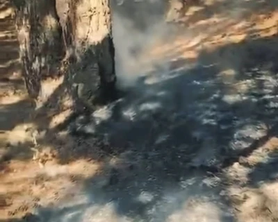 Simav G&ouml;lc&uuml;k mesire alanında korkutan yangın
