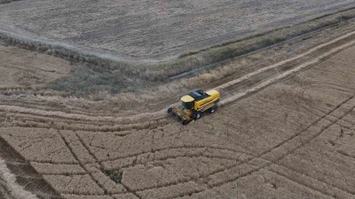 Sincan&rsquo;da tahıl hasadı başladı
