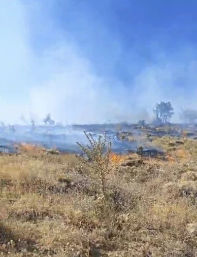 Sincik ilçesinde korkutan orman yangını
