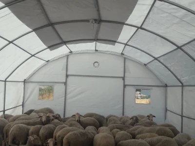 Sındırgı’da depremden etkilenen üreticilere geçici hayvan barınma çadırı desteği
