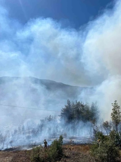 Sındırgı’da orman yangını
