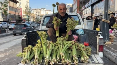 Sınırdan getirilen u&ccedil;kunlar Y&uuml;ksekova&rsquo;da satışa sunuldu
