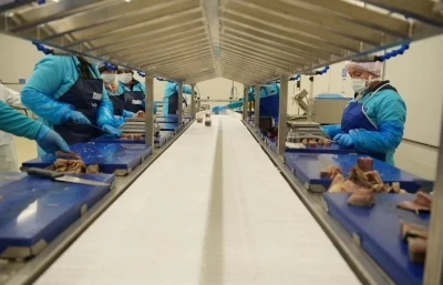 Sinop 2025&rsquo;te ihracatta vites y&uuml;kseltti
