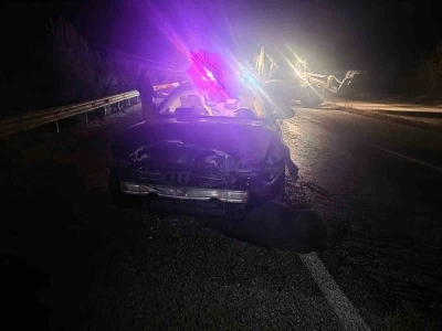 Sinop Belediye Başkanı’nın makam aracı domuz sürüsüne çarptı: Başkan kazayı yara almadan atlattı
