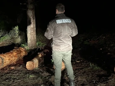 Sinop ormanları gece-g&uuml;nd&uuml;z koruma altında
