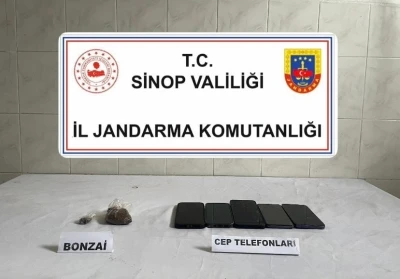 Sinop’ta bonzai ele geçirildi: 1 kişi tutuklandı
