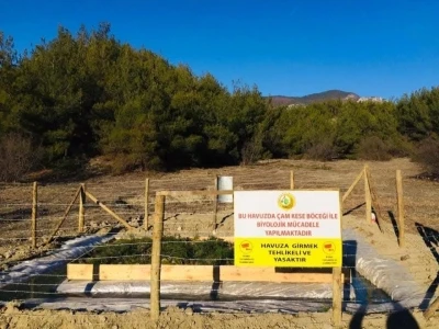 Sinop&rsquo;ta &ccedil;am kese b&ouml;ceği ile m&uuml;cadele
