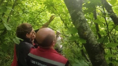 Sinop&rsquo;ta kahverengi kokarcayla biyolojik m&uuml;cadele
