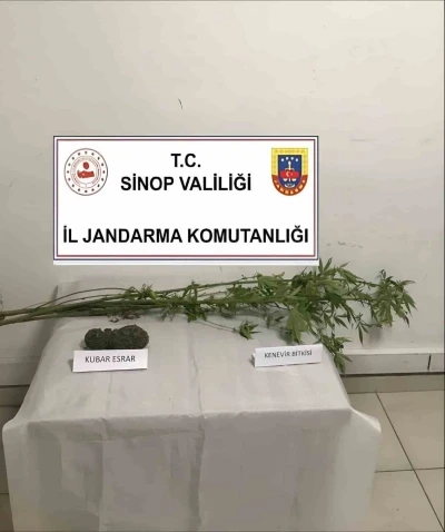 Sinop’ta kenevir ve kubar esrar ele geçirildi

