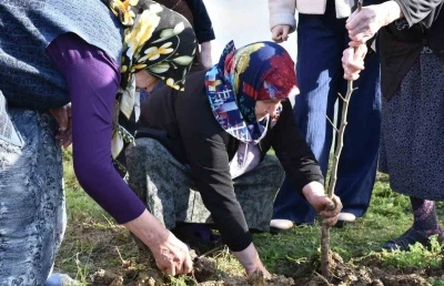 Sinop&rsquo;ta kuşaklar arası g&ouml;n&uuml;l k&ouml;pr&uuml;s&uuml; fidanlarla kuruldu
