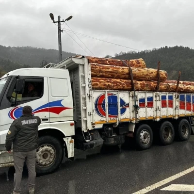 Sinop&rsquo;ta orman &uuml;r&uuml;nlerine 183 noktada denetim
