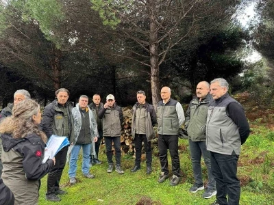Sinop&rsquo;ta ormancılık faaliyetleri
