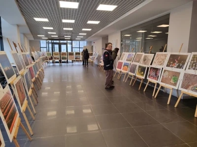 Sinop&rsquo;ta "Tarım, Orman ve İnsan Sergisi" a&ccedil;ıldı
