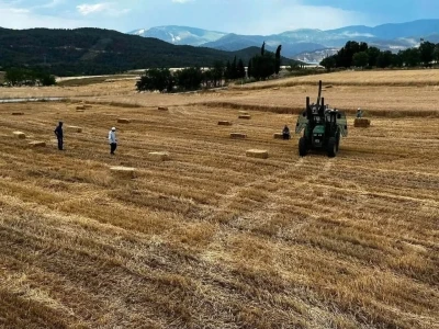Sinop&rsquo;ta yılın ilk buğdayları hasat edildi
