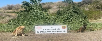 Şırnak’ta 11 milyon liralık kaçakçılık olayı önlendi
