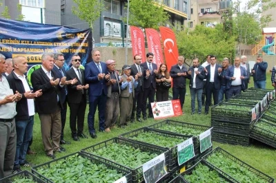 Şırnak&rsquo;ta 252 &uuml;reticiye sebze fidesi dağıtıldı
