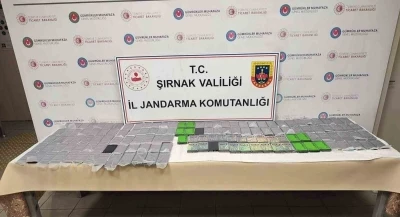 Şırnak’ta 8 milyon lira değerinde gümrük kaçağı ürünler ele geçirildi
