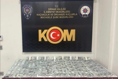 Şırnak&rsquo;ta asayiş, narkotik ve ka&ccedil;ak&ccedil;ılık operasyonlarında 10 tutuklama
