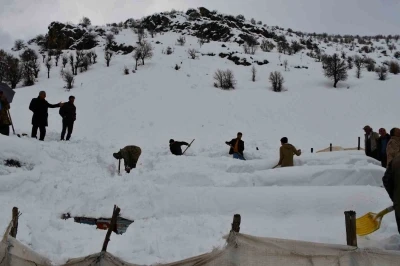 Şırnak&rsquo;ta bal arıları &ccedil;ığ altında kaldı
