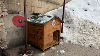 Şırnak&rsquo;ta g&ouml;n&uuml;ll&uuml;lerde sokak hayvanları i&ccedil;in barınak ve mama desteği
