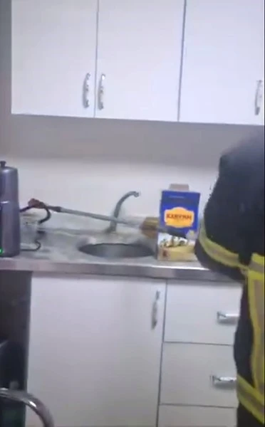 Şırnak’ta iş yerinde yılan paniği
