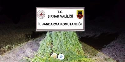 Şırnak’ta Jandarma’dan 22 milyon 861 bin liralık kaçakçılık operasyonu: 2 tutuklama
