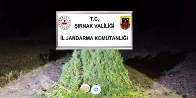 Şırnak’ta Jandarma’dan 22 milyon 861 bin liralık kaçakçılık operasyonu: 2 tutuklama
