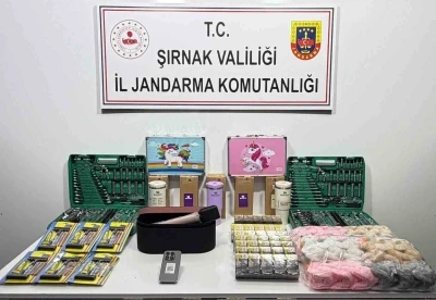 Şırnak&rsquo;ta jandarmadan asayiş, ka&ccedil;ak&ccedil;ılık ve narkotik operasyonu
