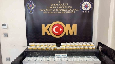 Şırnak&rsquo;ta ka&ccedil;ak ila&ccedil; ve serum operasyonu: 2,5 milyon liralık tıbbi &uuml;r&uuml;n ele ge&ccedil;irildi
