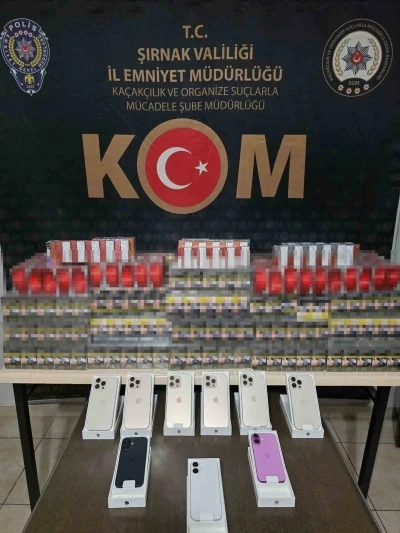 Şırnak’ta kaçakçılık operasyonu: 1 gözaltı
