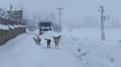Şırnak&rsquo;ta kapalı k&ouml;y yolları dozerlerle a&ccedil;ılıyor
