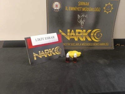 Şırnak&rsquo;ta kargoda likit uyuşturucu ele ge&ccedil;irildi
