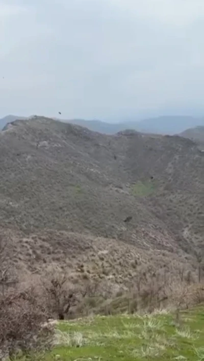 Şırnak&rsquo;ta kartalın domuz avı kamerada
