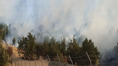 Şırnak’ta örtü yangını