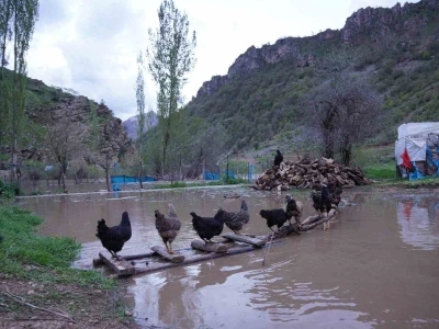 Şırnak&rsquo;ta sel suları k&ouml;pr&uuml;leri yıktı, ev ve ahırlar sular altında kaldı
