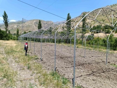 Şırnak&rsquo;ta sera yatırımları yerinde incelendi
