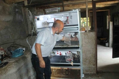 Şırnaklı çiftçi, engelli aile bireyleri nedeniyle evinden çıkamadı, çiftliği eve taşıdı
