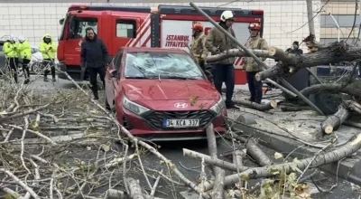 Şişli&rsquo;de ağa&ccedil;, park halindeki aracın &uuml;zerine devrildi
