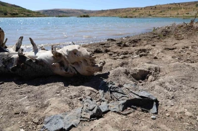 Sivas’ın önemli su kaynaklarında olan 4 Eylül barajında zemin görüntü
